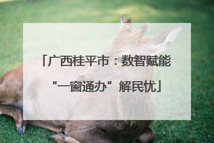 广西桂平市：数智赋能“一窗通办”解民忧
