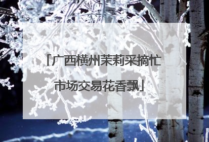 广西横州茉莉采摘忙 市场交易花香飘