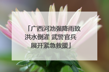 广西河池强降雨致洪水倒灌 武警官兵展开紧急救援