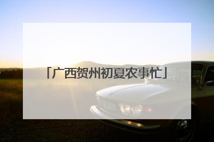 广西贺州初夏农事忙