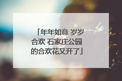 年年如意 岁岁合欢 石家庄公园的合欢花又开了