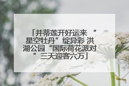 并蒂莲开好运来 “星空牡丹”绽异彩 洪湖公园“国际荷花派对”三天迎客六万