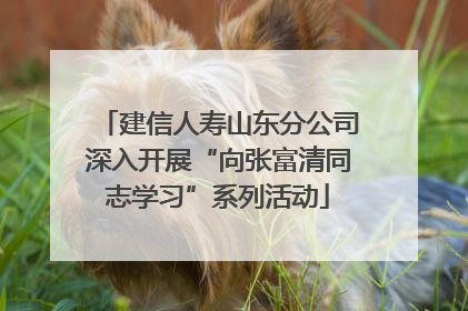 建信人寿山东分公司深入开展“向张富清同志学习”系列活动