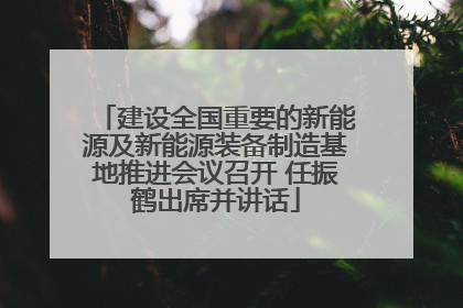 建设全国重要的新能源及新能源装备制造基地推进会议召开 任振鹤出席并讲话