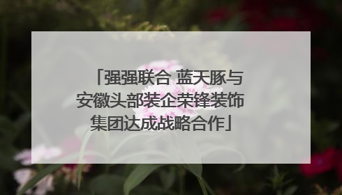 强强联合 蓝天豚与安徽头部装企荣锋装饰集团达成战略合作