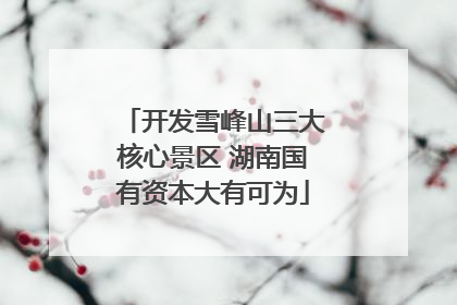 开发雪峰山三大核心景区 湖南国有资本大有可为