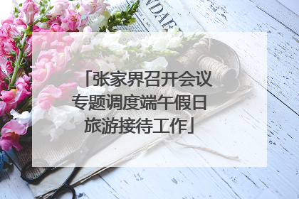张家界召开会议专题调度端午假日旅游接待工作