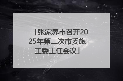 张家界市召开2025年第二次市委旅工委主任会议