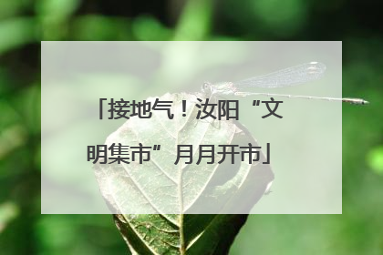 接地气！汝阳“文明集市”月月开市