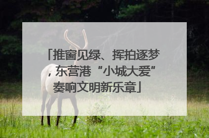 推窗见绿、挥拍逐梦，东营港“小城大爱”奏响文明新乐章
