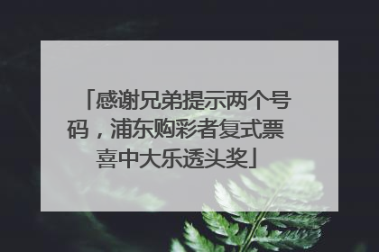 感谢兄弟提示两个号码，浦东购彩者复式票喜中大乐透头奖