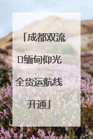成都双流⇌缅甸仰光全货运航线开通