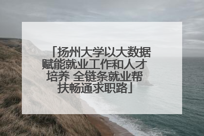 扬州大学以大数据赋能就业工作和人才培养 全链条就业帮扶畅通求职路