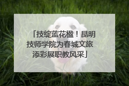 技绽蓝花楹！昆明技师学院为春城文旅添彩展职教风采