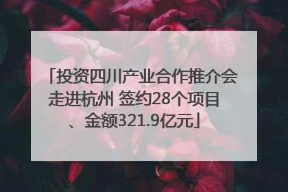 投资四川产业合作推介会走进杭州 签约28个项目、金额321.9亿元