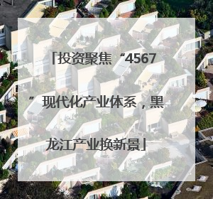 投资聚焦“4567”现代化产业体系，黑龙江产业换新景