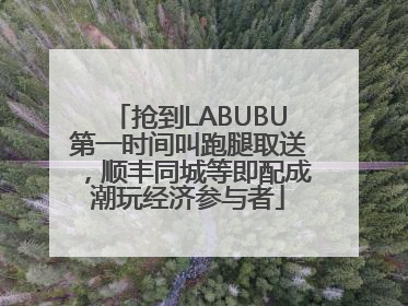 抢到LABUBU第一时间叫跑腿取送，顺丰同城等即配成潮玩经济参与者