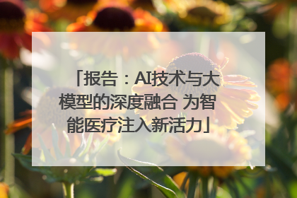 报告：AI技术与大模型的深度融合 为智能医疗注入新活力