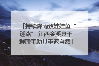 持续降雨致娃娃鱼“迷路” 江西金溪县干群联手助其重返自然