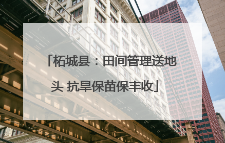 柘城县：田间管理送地头 抗旱保苗保丰收