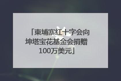柬埔寨红十字会向坤塔宝花基金会捐赠100万美元