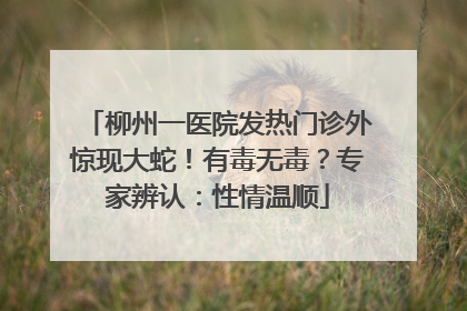 柳州一医院发热门诊外惊现大蛇！有毒无毒？专家辨认：性情温顺