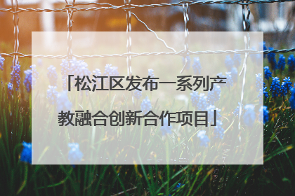 松江区发布一系列产教融合创新合作项目