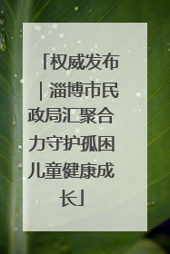 权威发布｜淄博市民政局汇聚合力守护孤困儿童健康成长