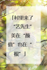 村里来了“艺先生” 美在“颜值”也在“根”