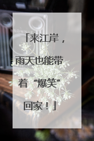 来江岸，雨天也能带着“爆笑”回家！