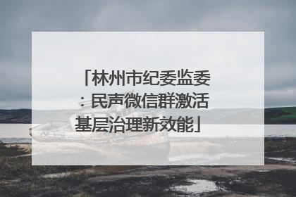 林州市纪委监委：民声微信群激活基层治理新效能
