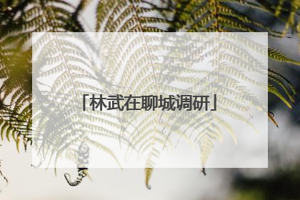 林武在聊城调研