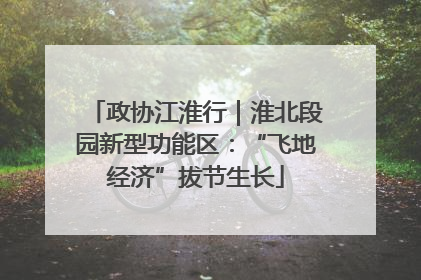 政协江淮行｜淮北段园新型功能区：“飞地经济”拔节生长
