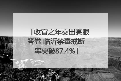 收官之年交出亮眼答卷 临沂禁毒戒断率突破87.4%