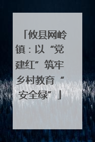 攸县网岭镇：以“党建红”筑牢乡村教育“安全绿”