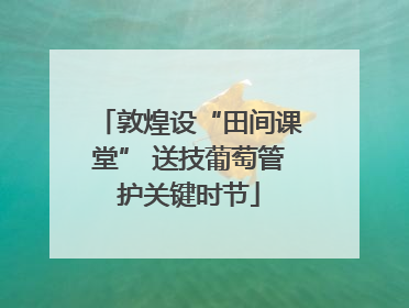 敦煌设“田间课堂” 送技葡萄管护关键时节