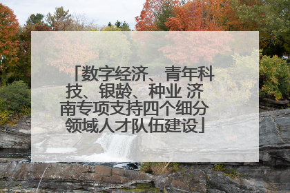 数字经济、青年科技、银龄、种业 济南专项支持四个细分领域人才队伍建设