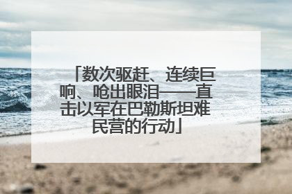 数次驱赶、连续巨响、呛出眼泪——直击以军在巴勒斯坦难民营的行动