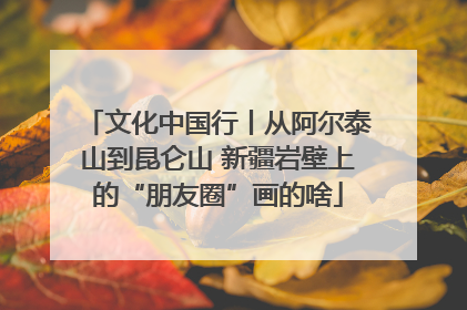 文化中国行丨从阿尔泰山到昆仑山 新疆岩壁上的“朋友圈”画的啥