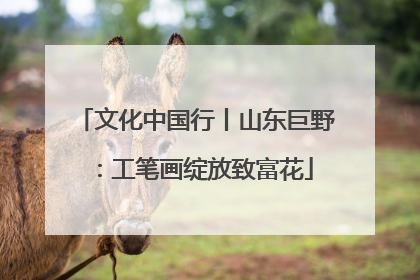 文化中国行丨山东巨野：工笔画绽放致富花