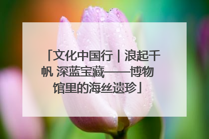 文化中国行｜浪起千帆 深蓝宝藏——博物馆里的海丝遗珍