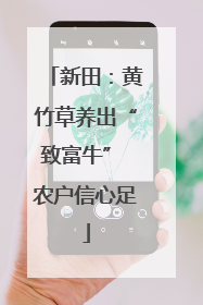 新田：黄竹草养出“致富牛” 农户信心足