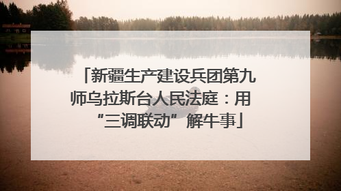 新疆生产建设兵团第九师乌拉斯台人民法庭：用“三调联动”解牛事