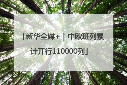 新华全媒+｜中欧班列累计开行110000列