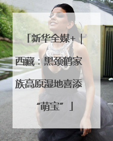 新华全媒+｜西藏：黑颈鹤家族高原湿地喜添“萌宝”