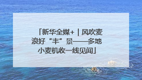 新华全媒+｜风吹麦浪好“丰”景——多地小麦机收一线见闻