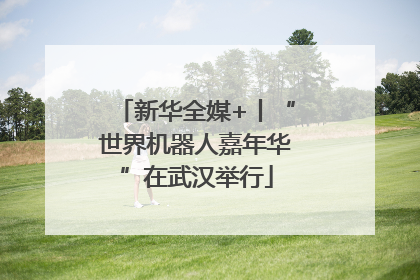 新华全媒+丨“世界机器人嘉年华”在武汉举行