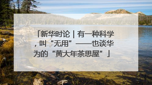 新华时论｜有一种科学，叫“无用”——也谈华为的“黄大年茶思屋”