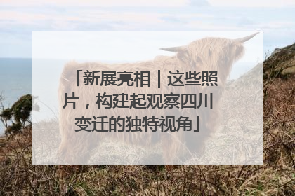 新展亮相｜这些照片，构建起观察四川变迁的独特视角
