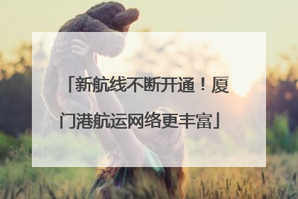 新航线不断开通！厦门港航运网络更丰富